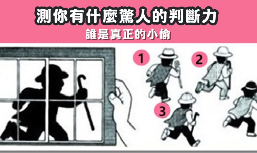 【誰是真正的小偷】測你有什麼驚人的判斷力