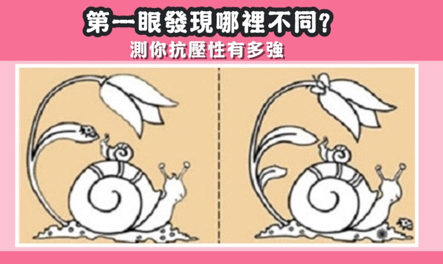 【第一眼發現哪裡不同】測你抗壓性有多強