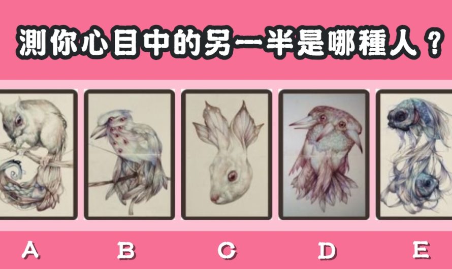 【動物塔羅】測你心目中的另一半是哪種人