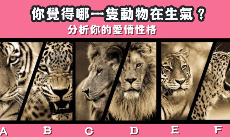 【日本神準測驗】野性直覺看愛情
