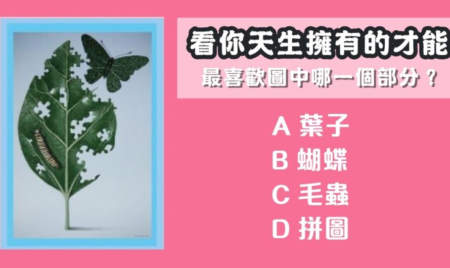 【德國圖形分析】看你天生擁有的才能