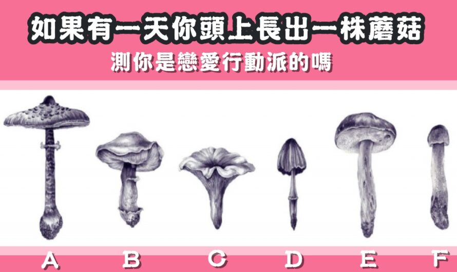 【巴西超夯心測】測你是戀愛行動派