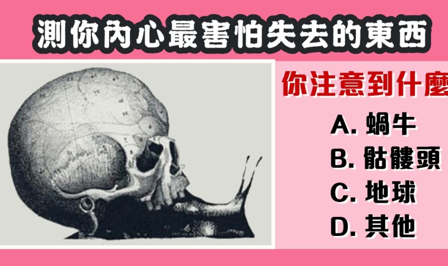 【你注意到什麼】測你內心最害怕失去的東西