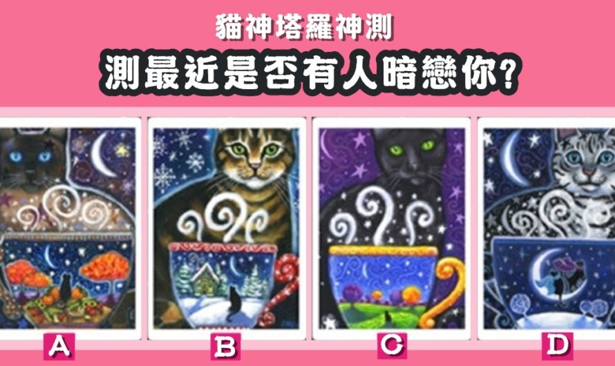 【貓神塔羅神測】測最近有人暗戀你