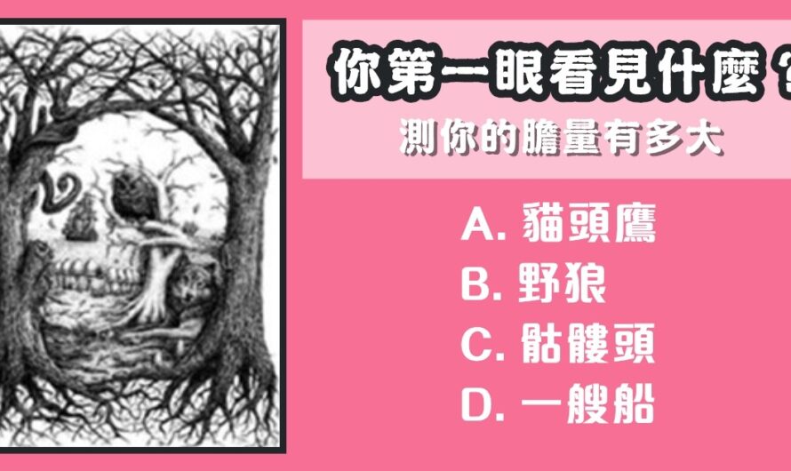 【你的第一眼看見什麼】測你的膽量有多大