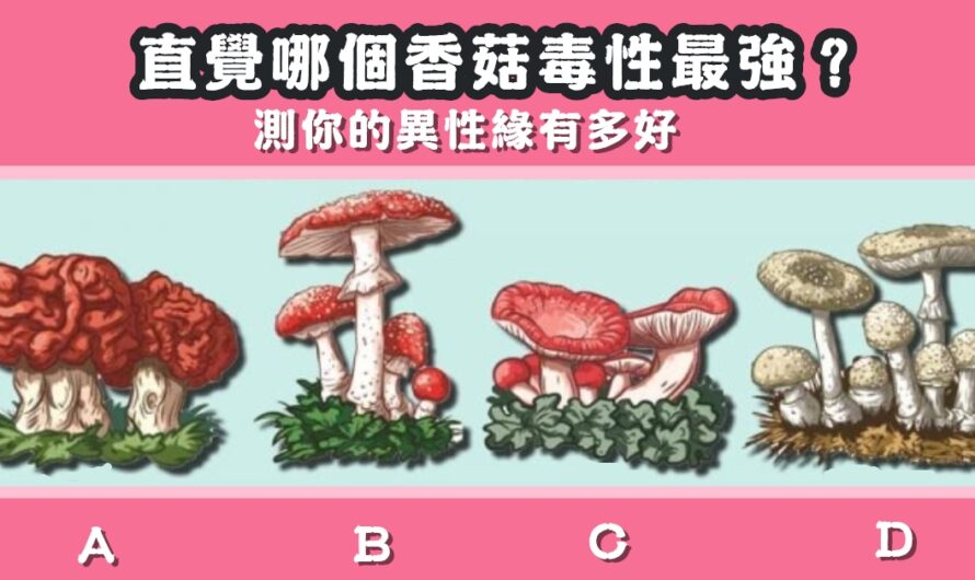 【直覺哪個香菇毒性最強】測您緣分有多好