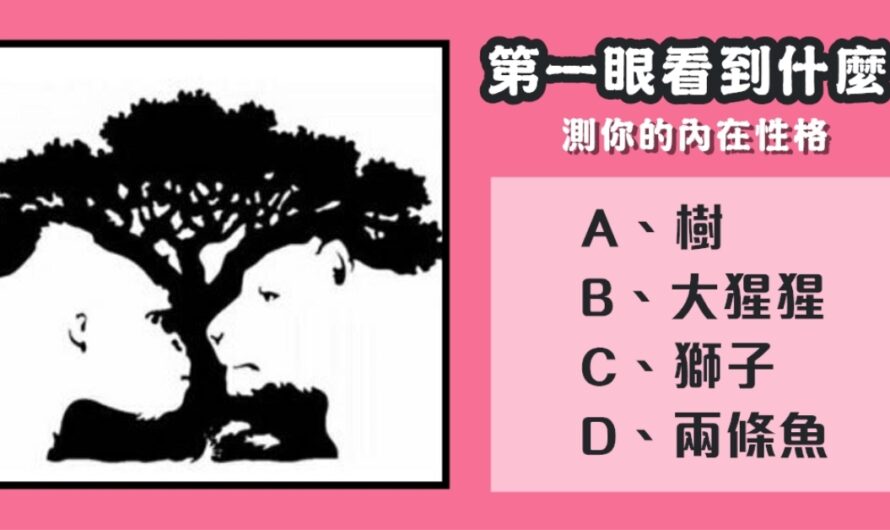 【第一眼看到什麼】測你的內在性格