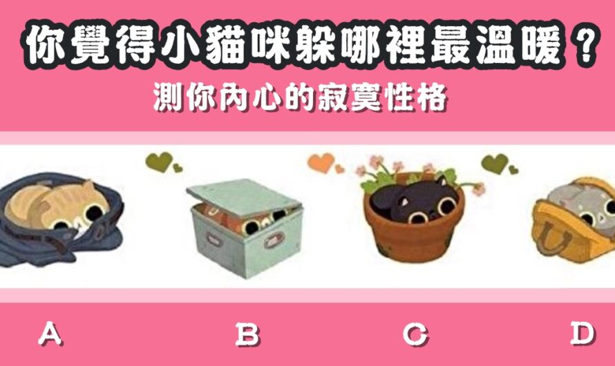 【小貓咪躲哪裡最溫暖】測你內心的寂寞性格