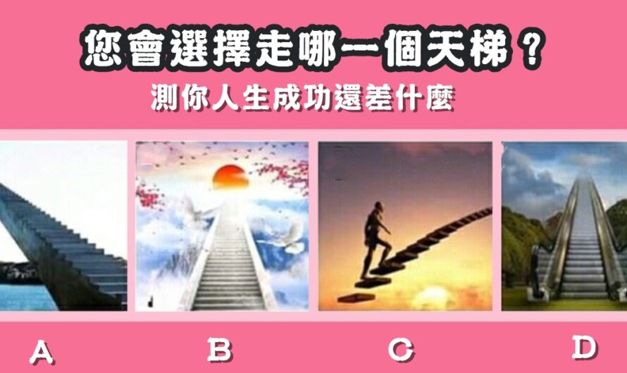 【您會選擇走哪一個天梯】測你人生成功還差什麼