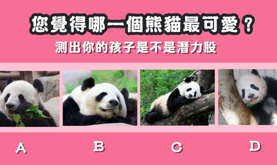 【哪一個熊貓最可愛】測出你的孩子是不是潛力股