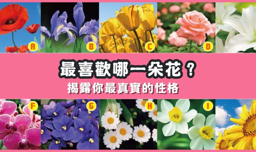 【最喜歡哪一朵花】揭露最真實的你