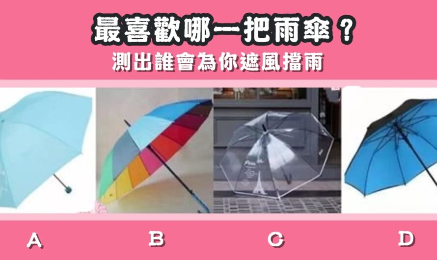 【最喜歡哪一把雨傘】測出誰會為你遮風擋雨