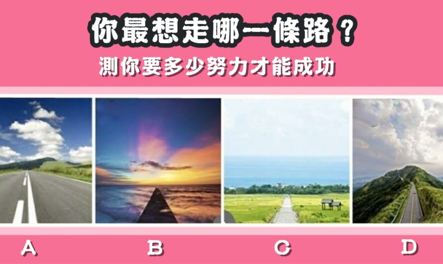 【最想走哪一條路】測你要多少努力才能成功