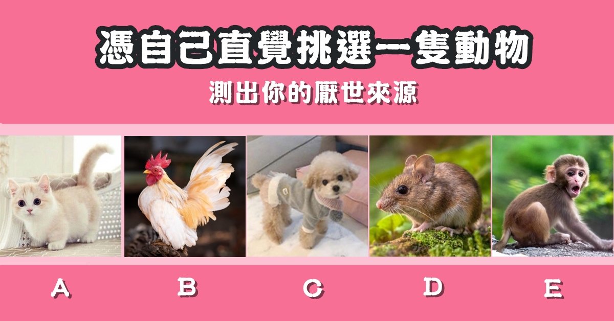 最喜愛，動物，厭世，來源，心理測驗，星座寶寶