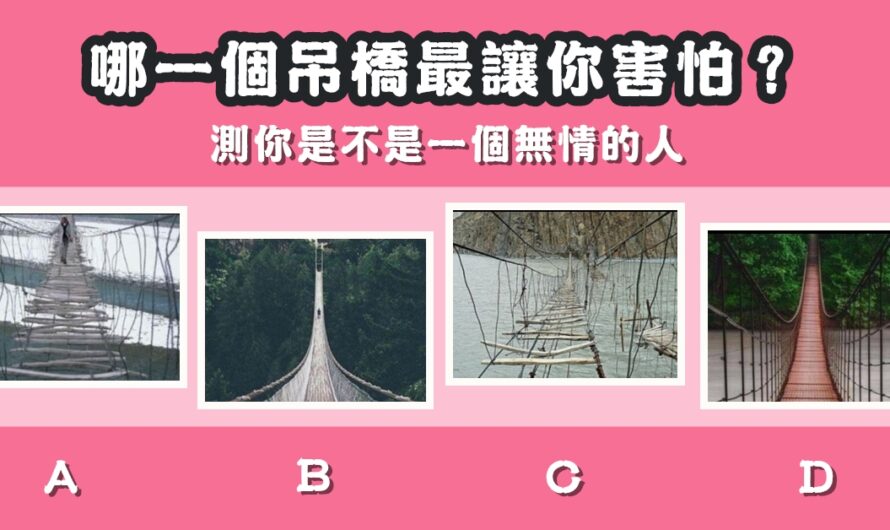 【哪個吊橋最讓害怕】測是不是一個無情的人