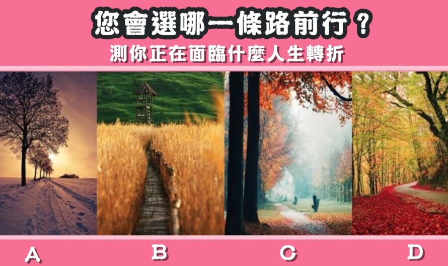 【選哪一條路前行】測正在面臨什麼人生轉折
