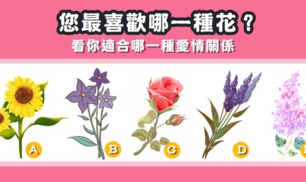 最喜歡，花朵，適合，愛情，關係，心理測驗，星座寶寶