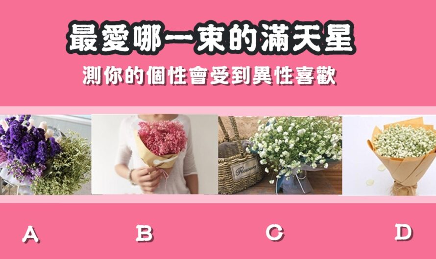 【最愛哪一束的滿天星】測個性會受到異性喜歡