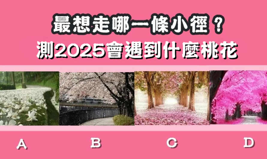 【最想走哪一條小徑】測2025會遇到什麼桃花