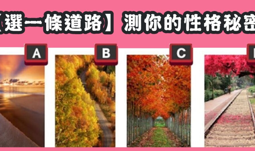 【最喜歡哪一條道路】測您的性格秘密