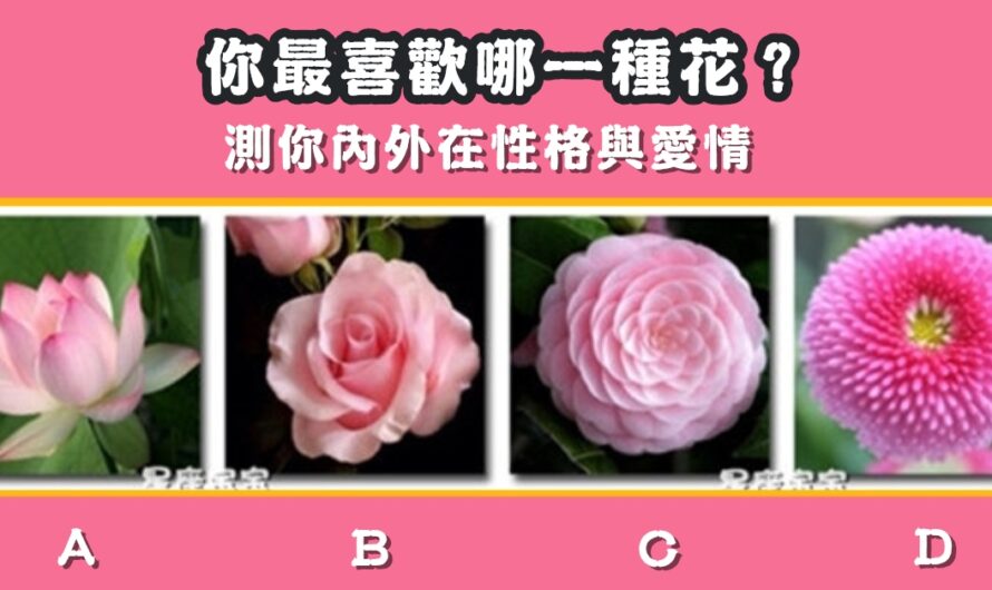 【最喜歡哪一朵花】測內外在性格和愛情