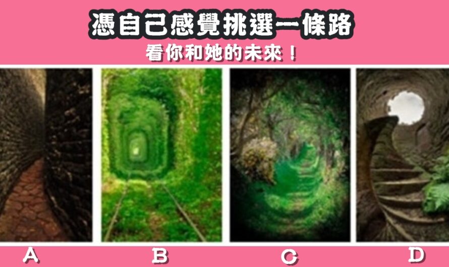 【憑感覺選一條路】看您和她的未來