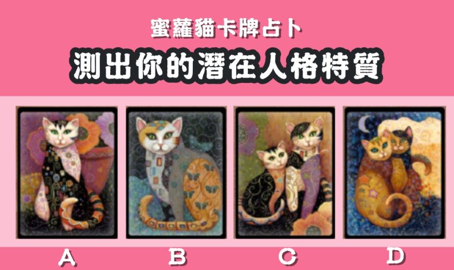 【蜜蘿貓卡牌占卜】測您的潛在人格特質