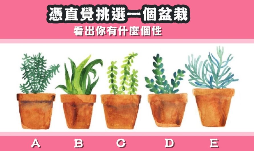 【挑選喜愛的盆栽】看出您有什麼個性