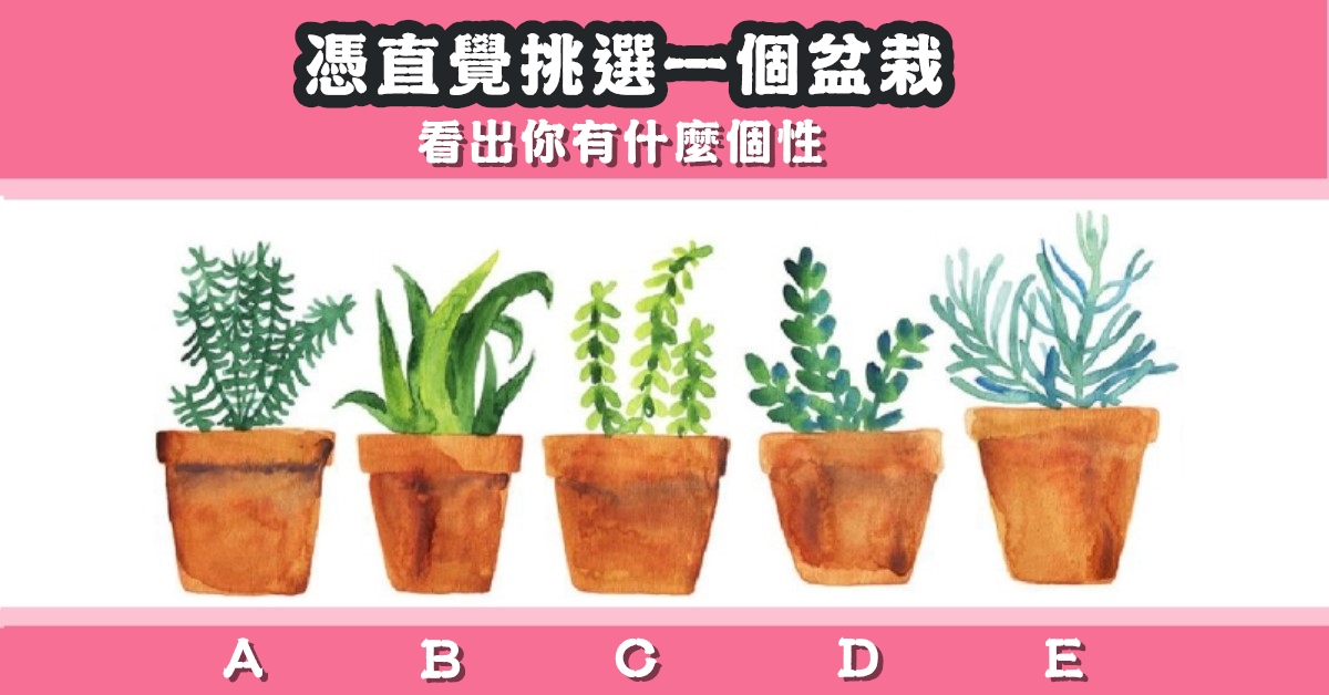 挑選，喜愛，盆栽，看出個性，心理測驗，星座寶寶