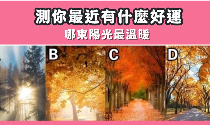 【哪束陽光最溫暖】測最近有什麼天賜好運