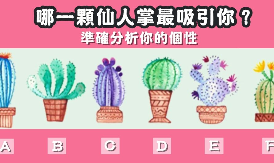 【哪顆仙人掌最吸引】分析您的個性