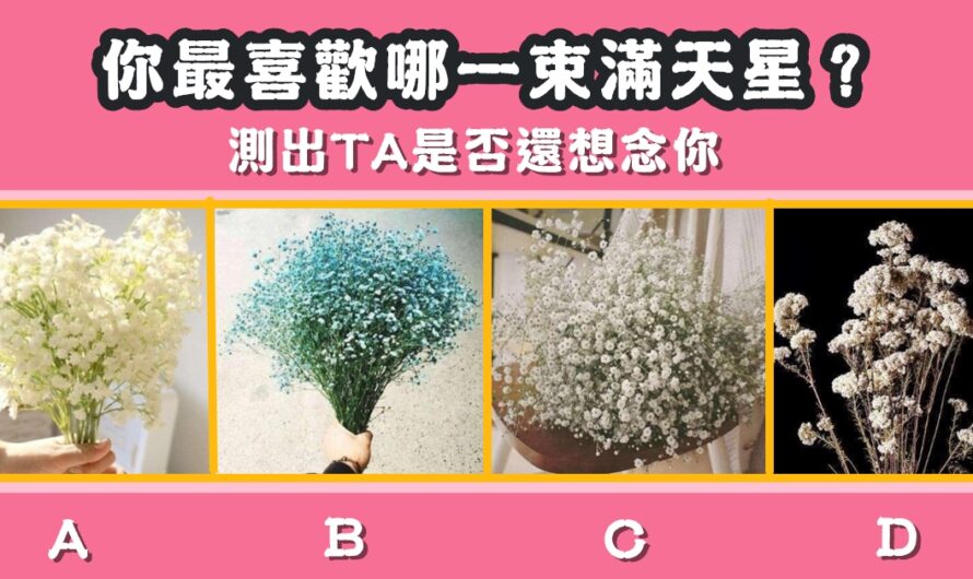 【最喜歡哪束滿天星】測TA是否還想您