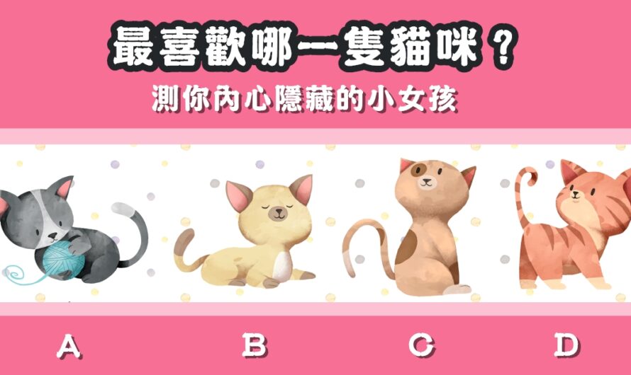 【最喜歡哪隻貓咪】測您內心隱藏的小女孩