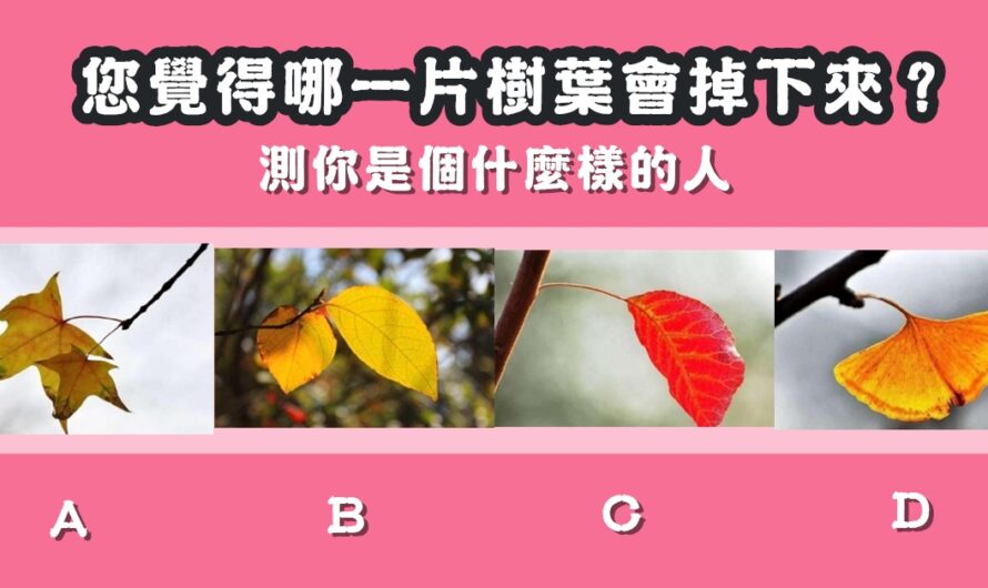 【哪一片樹葉會掉下來】測您是個什麼樣的人