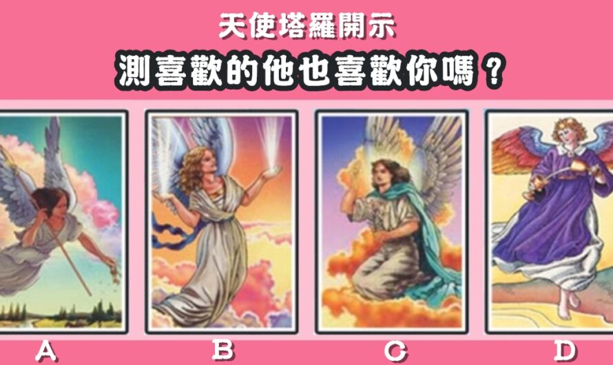 【天使塔羅開示】測喜歡的他也喜歡您