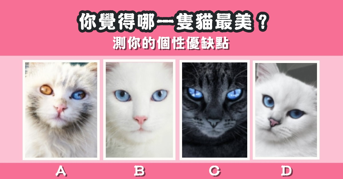 貓最美，準到讓你無言，個性優缺點，心理測驗，星座寶寶