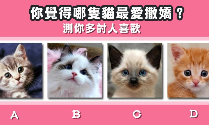 【哪隻貓最愛撒嬌】測您多討人喜歡