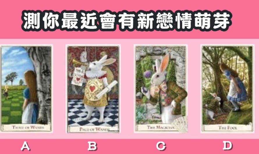 【白兔公主塔羅】測最近會有新戀情萌芽