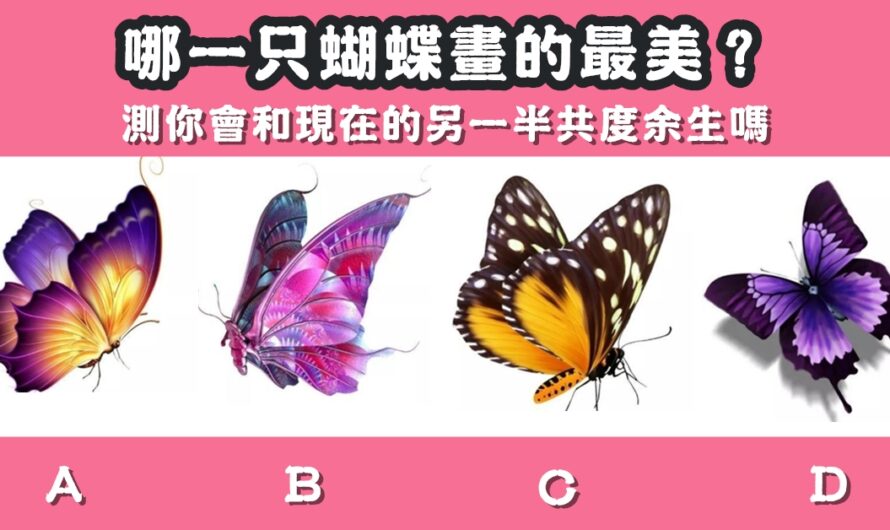 【哪只蝴蝶畫的最美】測您會和現在的另一半共度余生