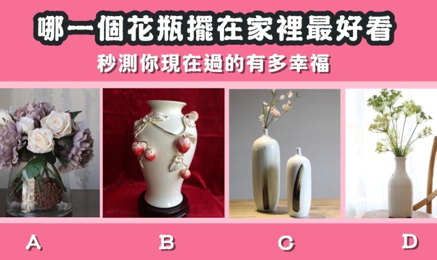 【哪個花瓶擺在家裡最好看】測現在過的有多幸福