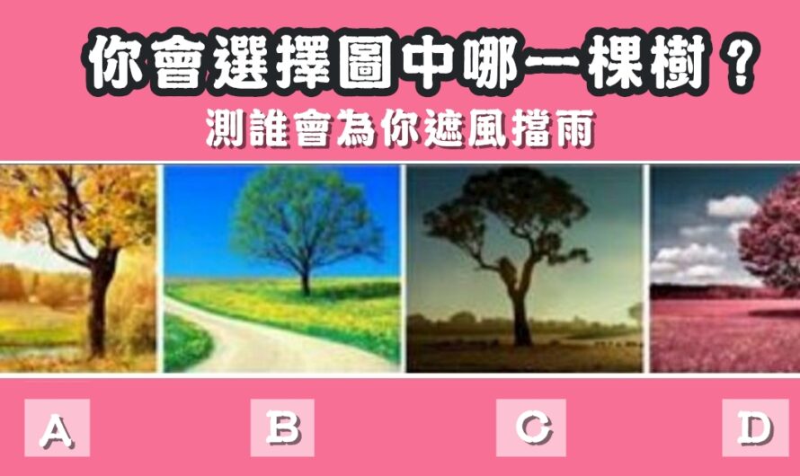 【最喜歡哪一顆樹】測誰會為您遮風擋雨