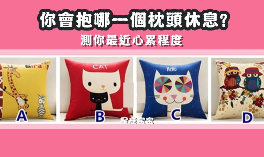 【最想抱哪個枕頭休息】測最近心累程度