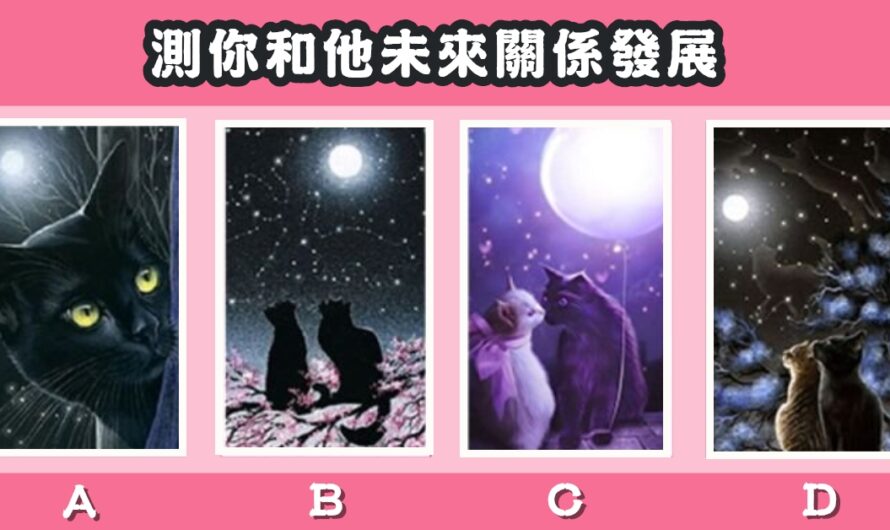 【愛戀貓咪塔羅】測您和他未來關係發展