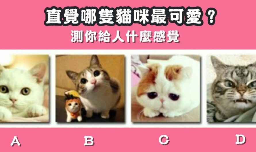【哪隻貓咪最可愛】測您給人什麼感覺
