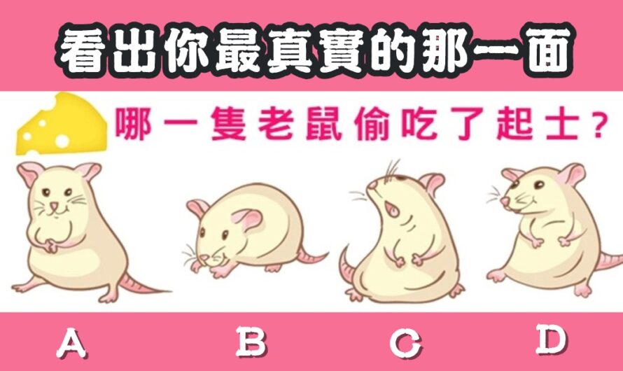 【日本瘋傳測試】選老鼠看您最真實一面