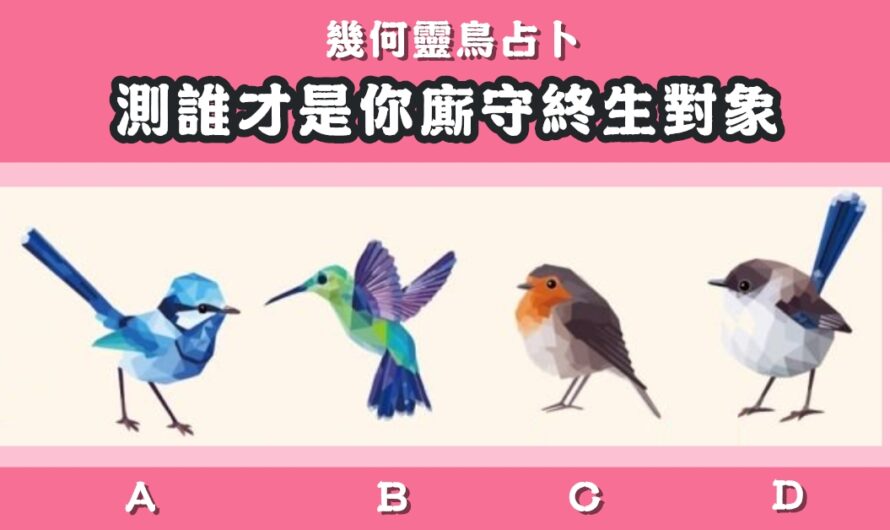 【幾何靈鳥占卜】測誰才是您廝守終生對象