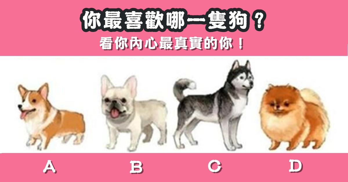 最喜歡，一隻狗，內心，最真實，真實性格，心理測驗，星座寶寶