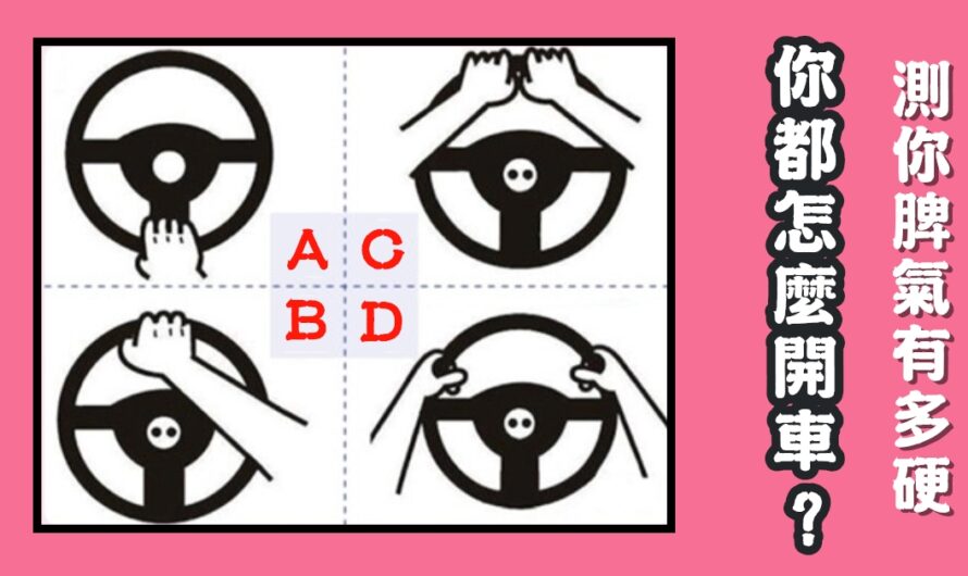 【您都怎麼開車】測脾氣有多硬