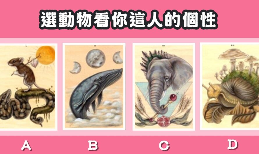 【動物世界占卜】看出您的個性有多好