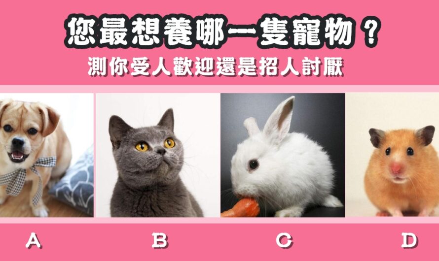 【最想養哪一隻寵物】測您受人歡迎還是招人討厭